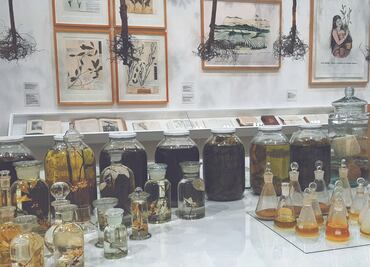 Todo lo que hay que saber sobre la planta de coca, a través del arte