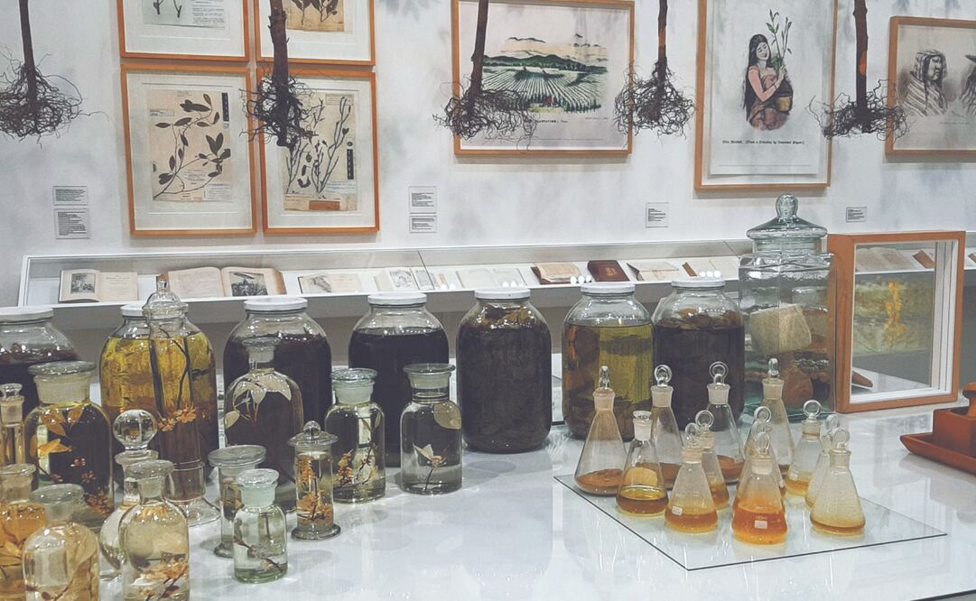 El arte le da una oportunidad a la coca. Foto: de Sonia Sierra