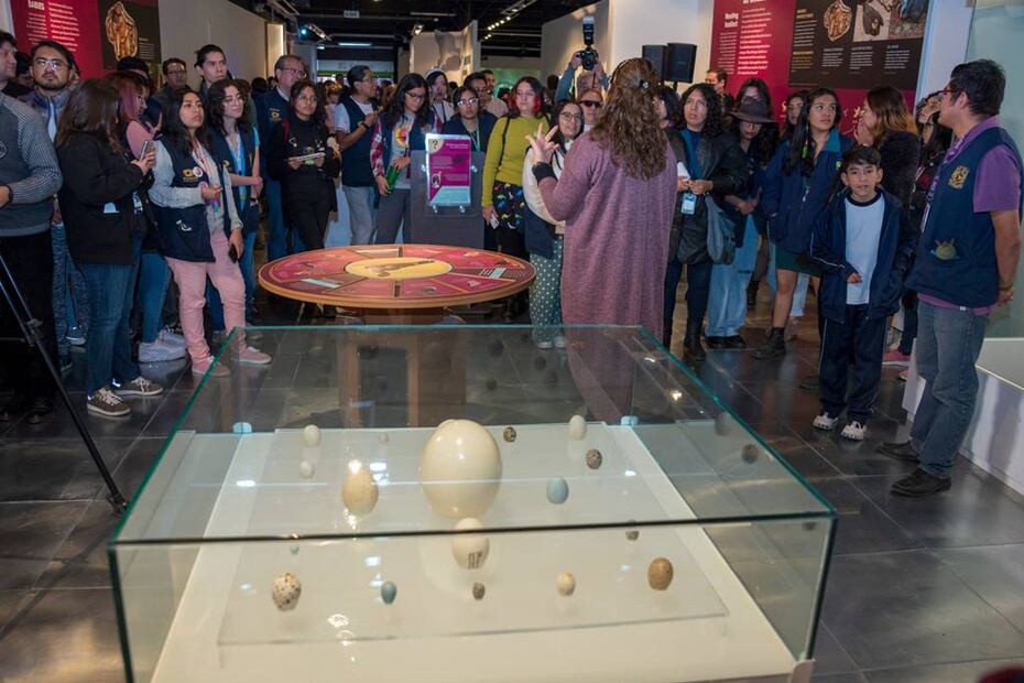 Foto: Facebook: “Universum, Museo de las Ciencias”