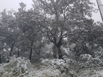 Pronostican hasta -5 grados en regiones de Sonora