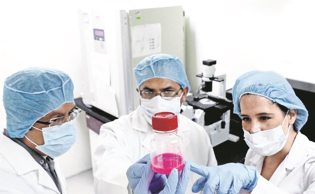 Los investigadores son de la Universidad de California, en San Diego, EU. (FOTO: Archivo/EL UNIVERSAL)