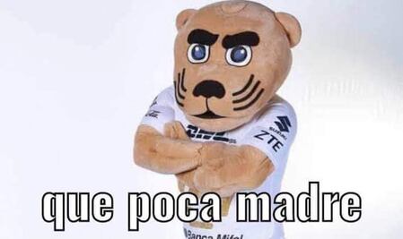 Pumas sufrió la segunda derrota del torneo y la afición se manifestó con los mejores memes