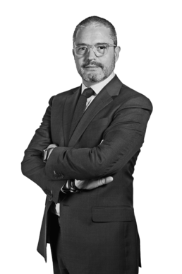 Gerardo Velázquez de Léon