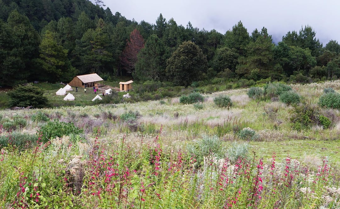 Durante la travesía de Camino Copalita encontrarás campamentos instalados por las comunidades locales. Foto: Cortesía Camino Copalita