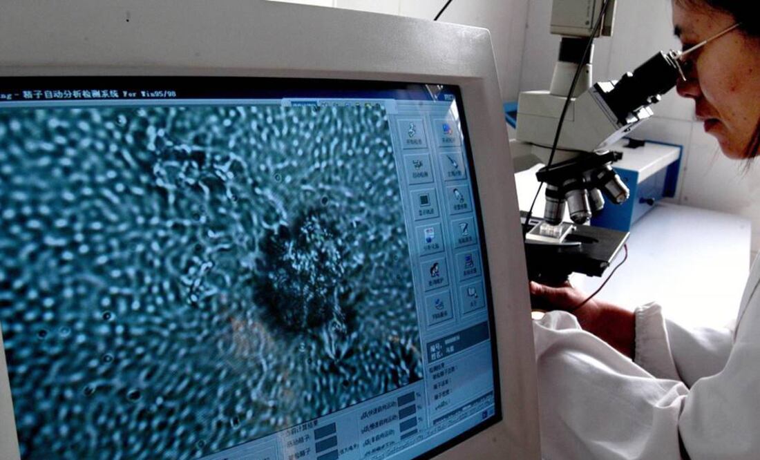 Si la técnica funciona en seres humanos, los médicos podrían algún día transformar células epidérmicas de un hombre en esperma que pueda transmitir a su descendencia junto con su ADN. Foto: Archivo