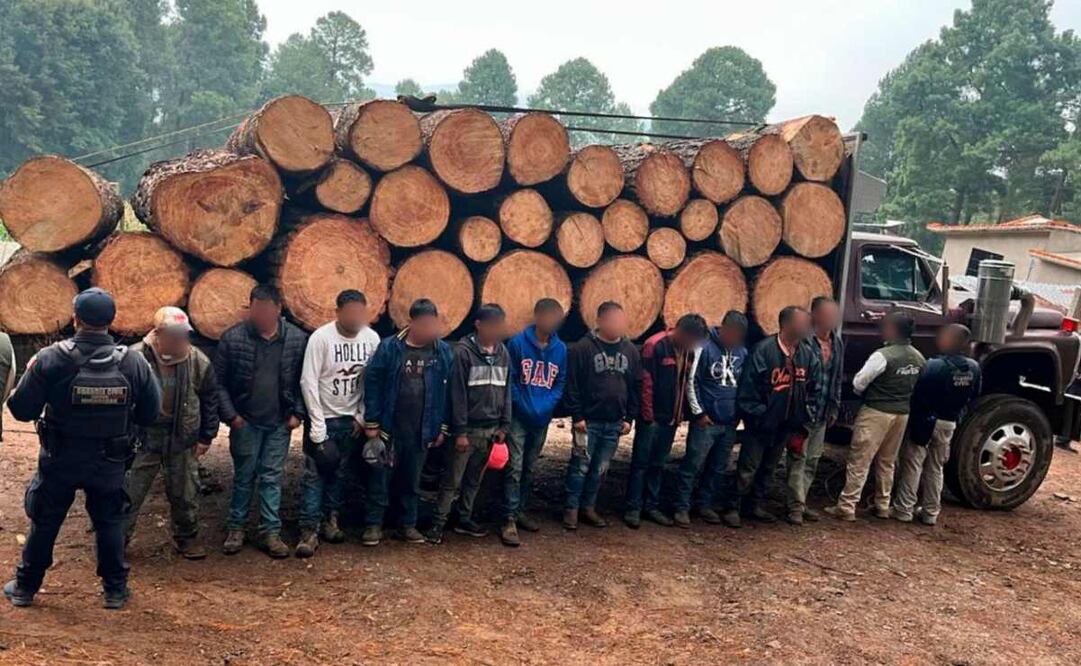 Detienen a 10 hombres por tala ilegal en Reserva de la Mariposa Monarca en Michoacán. Foto: Profepa