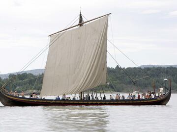 Restos de vikingos sugieren que la viruela es mucho más antigua de lo que se creía