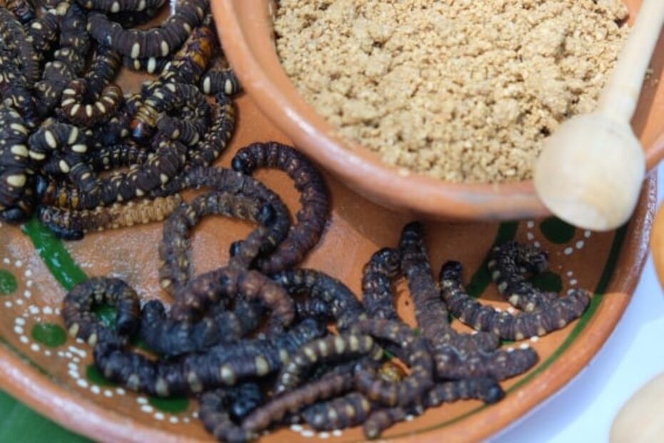 ¡Ahí vienen los escamoles y otras delicias!