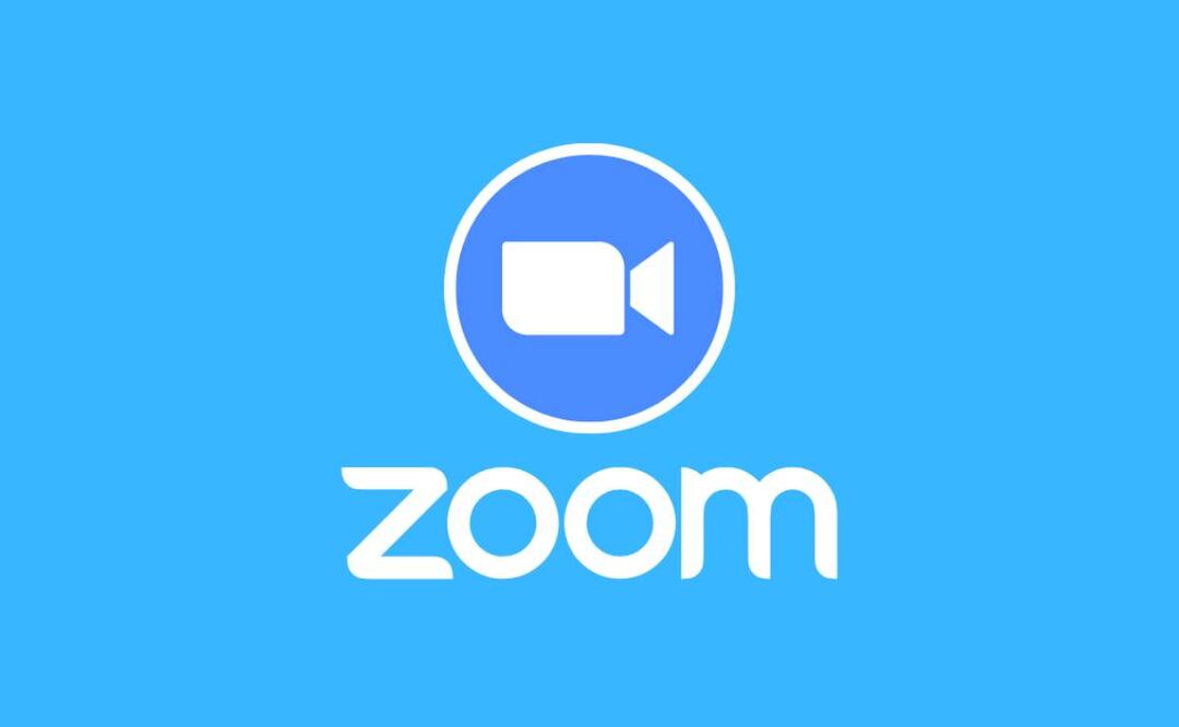 Imagen: Zoom