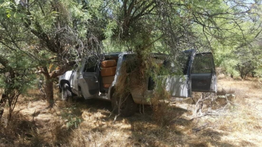 Sedena asegura más de 1 mdp en marihuana abandonada en Ensenada