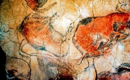 El arte rupestre ayudó a descubrir el origen de los bisontes