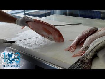 Fraude de cuaresma, en pescados dan "gato por liebre"