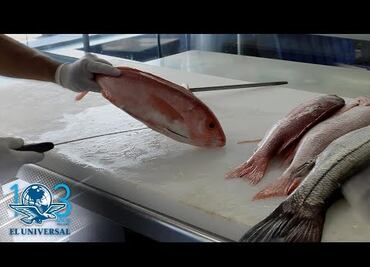 Fraude de cuaresma, en pescados dan "gato por liebre"