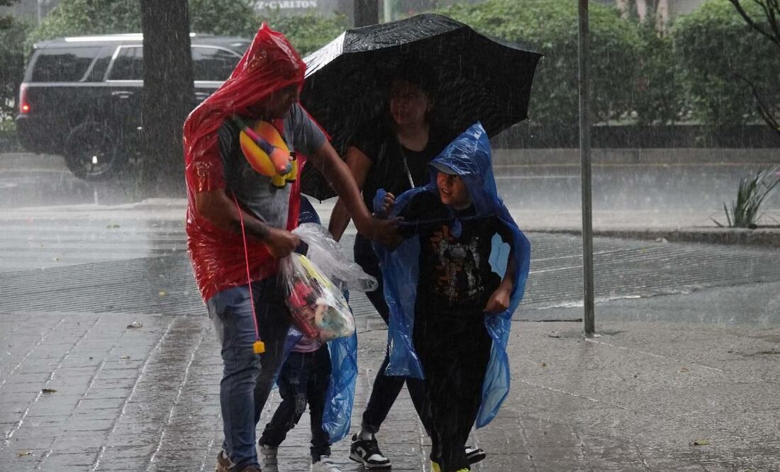 Dana en México. Foto: Archivo / EL UNIVERSAL