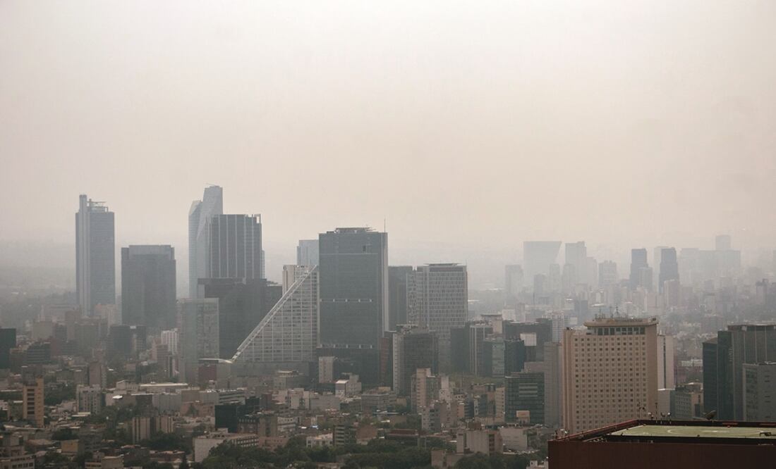 Foto: Archivo | EL UNIVERSAL