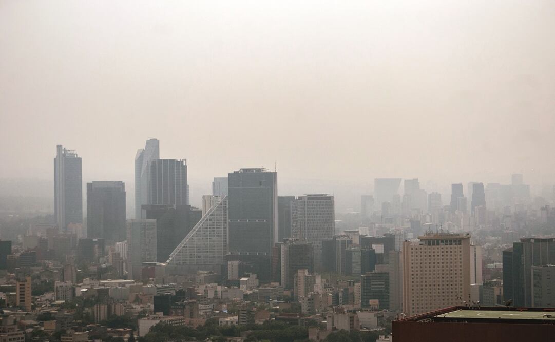 Foto: Archivo | EL UNIVERSAL