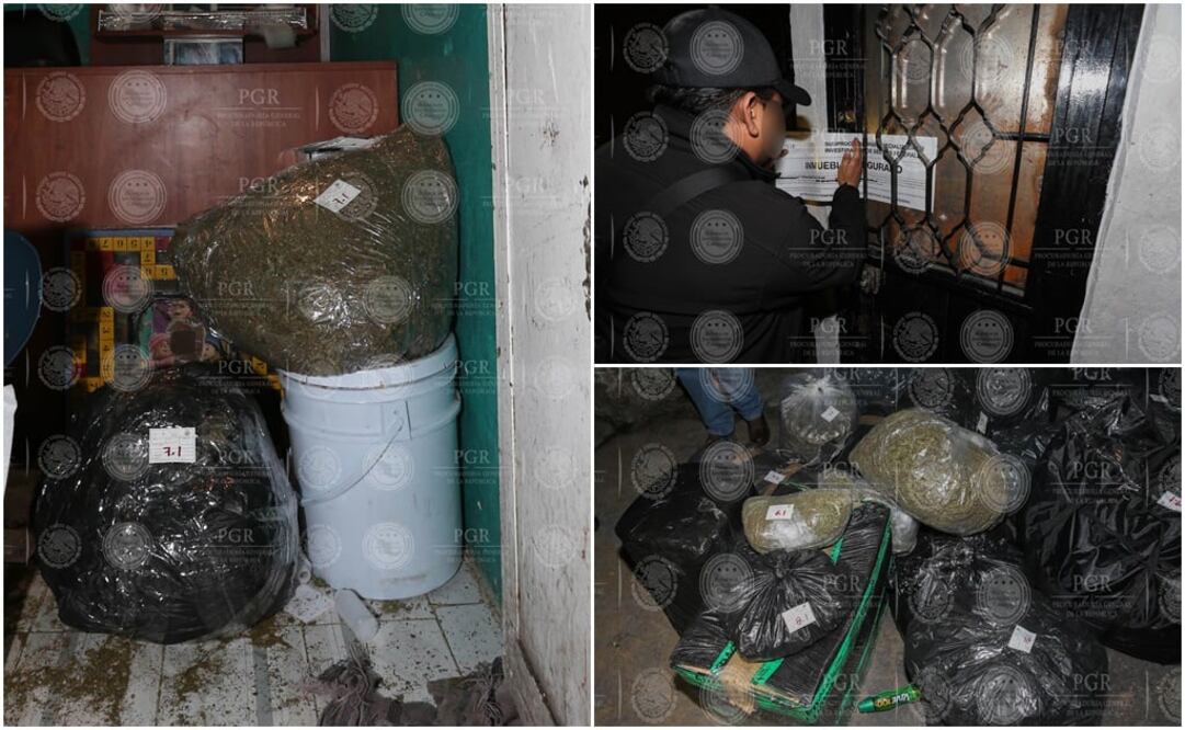 (Fotos: especial - PGR)