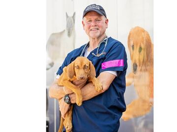 Las vacunas antiCovid para animales también se encuentran en marcha de ser aprobadas