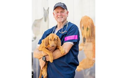 Las vacunas antiCovid para animales también se encuentran en marcha de ser aprobadas