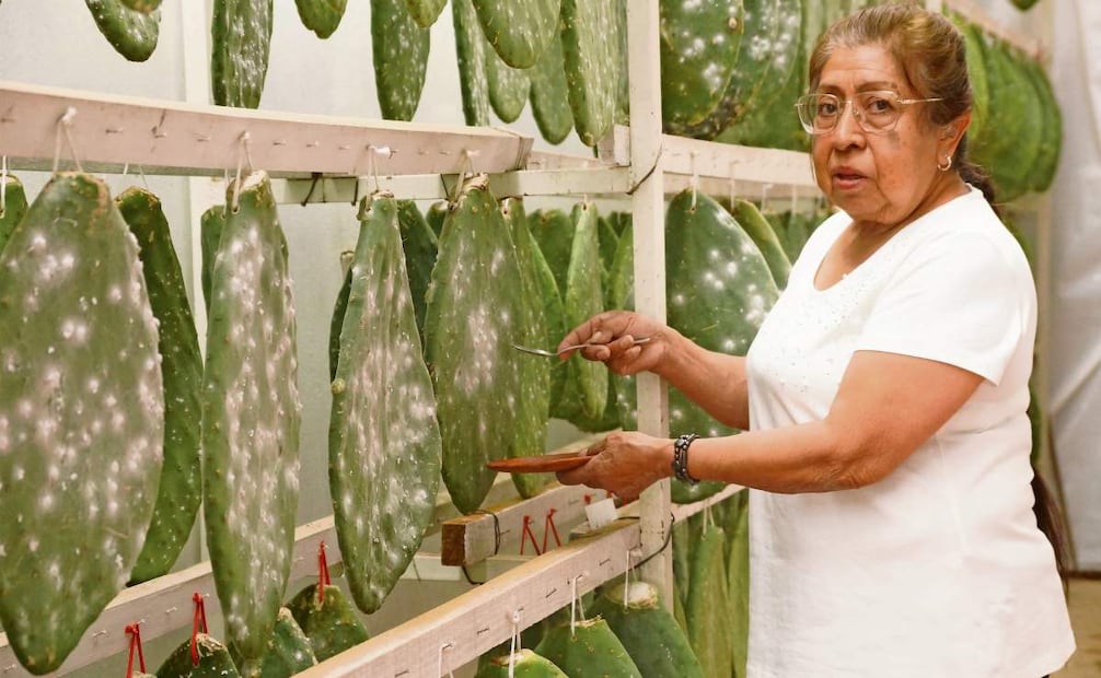 Foto: Edwin Hernández / EL UNIVERSAL