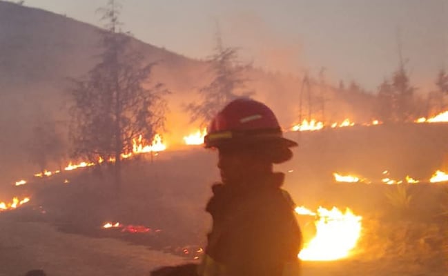 Bomberos de Tlalnepantla combaten incendios forestales; tienen lugar en el Cerro de la Presa y Jardines del Recuerdo