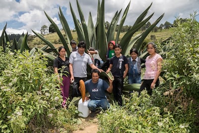 ¿Desaparece la tradición del pulque en Milpa Alta?