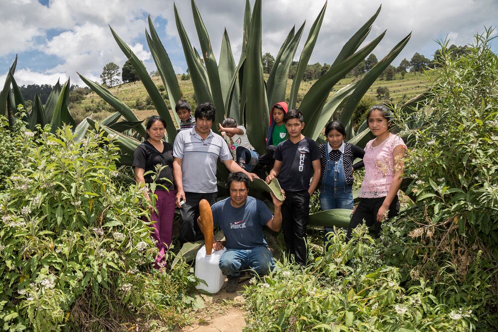 ¿Desaparece la tradición del pulque en Milpa Alta?