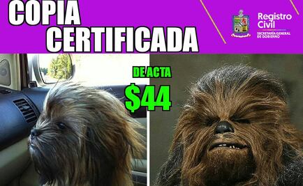 N. León promueve con memes servicios de Registro Civil