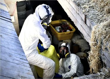 Aseguran narcolaboratorio del Cártel del Pacífico en Sinaloa; hallan precursores químicos, droga y armas