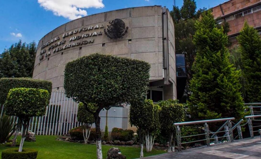 Imagen ilustrativa. Foto: archivo/EL UNIVERSAL