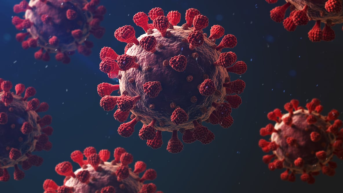 El coronavirus afecta más a unos organismos que a otros y los expertos empiezan a conocer las razones. Foto: Getty Images