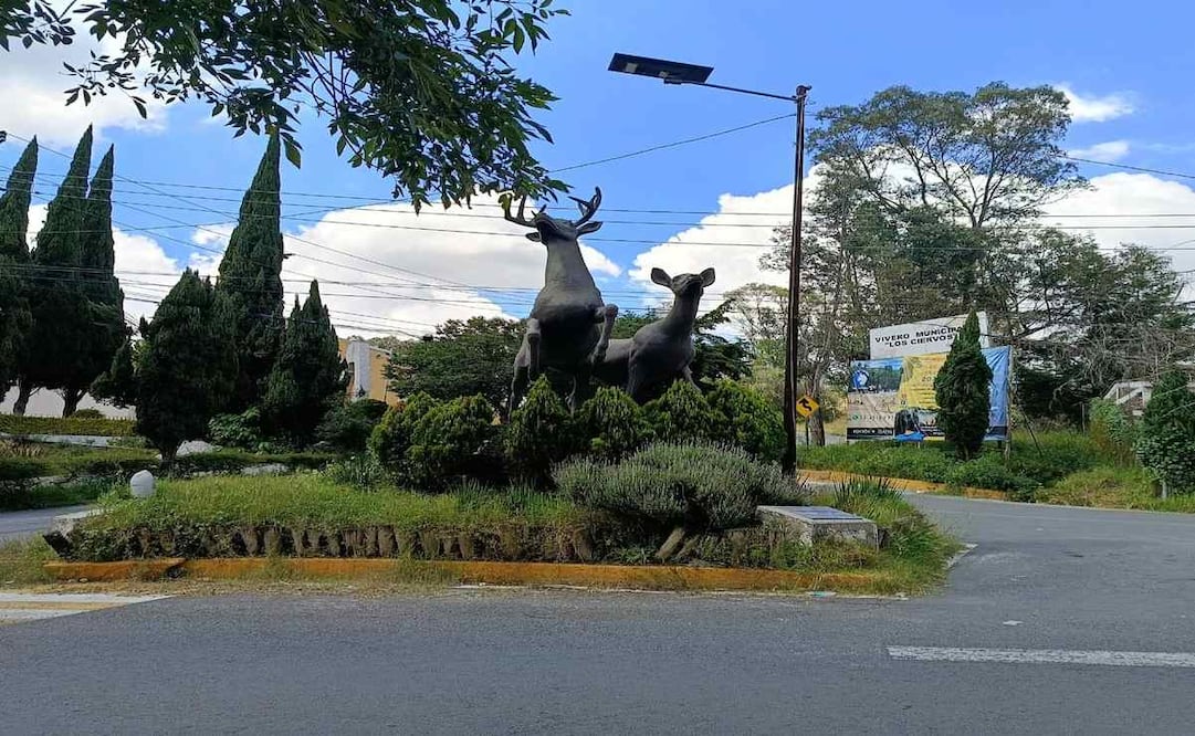 8 millones de pesos es la inversión para la primera etapa del proyecto.
Foto Gisela González