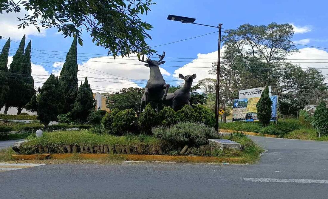 8 millones de pesos es la inversión para la primera etapa del proyecto.
Foto Gisela González