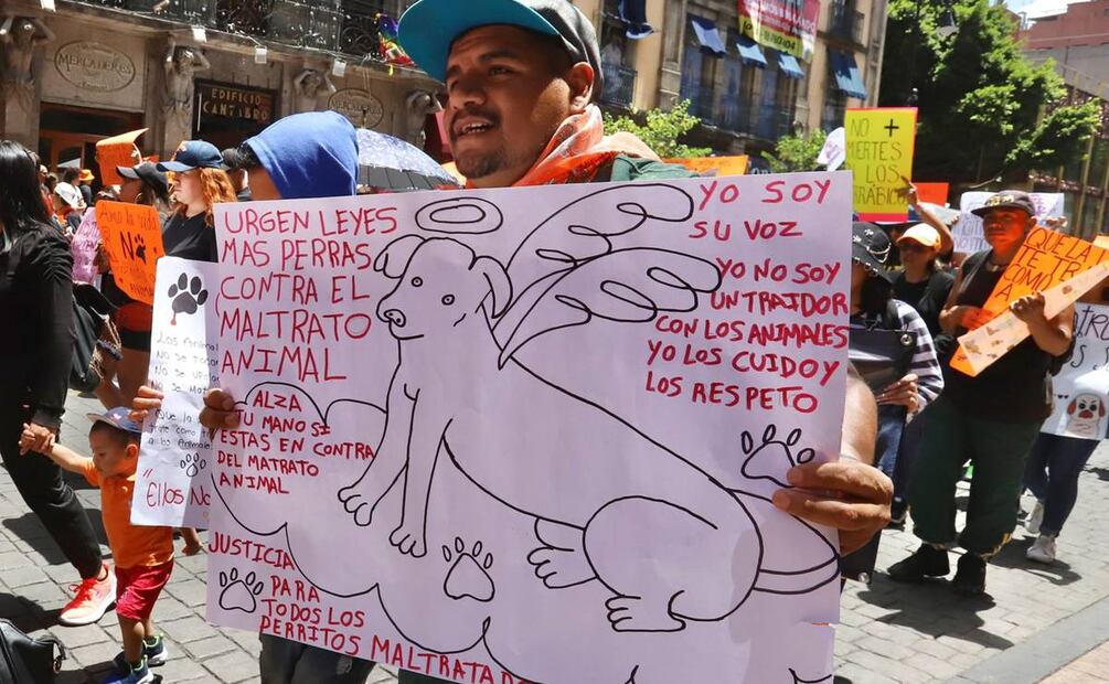 consignas marcha Maltrato Animal CDMX. / Foto: Berenice Fregoso, EL UNIVERSAL.