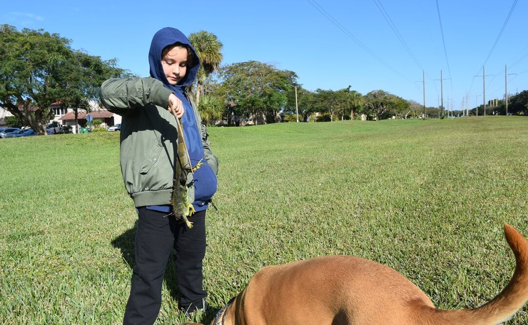 Foto:  EFE/ Jorge I. Pérez