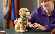 LEGO lanza set especial de perrito Golden Retriever; ¿cuál es su precio y cuándo saldrá a la venta? Foto: LEGO