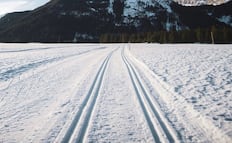 Esta es la carretera donde se prohíbe usar cinturón de seguridad