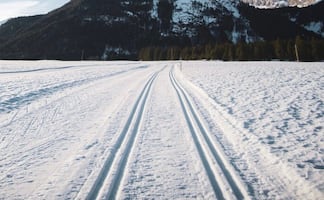 Esta es la carretera donde se prohíbe usar cinturón de seguridad