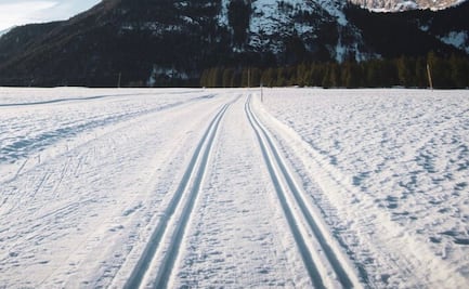Esta es la carretera donde se prohíbe usar cinturón de seguridad
