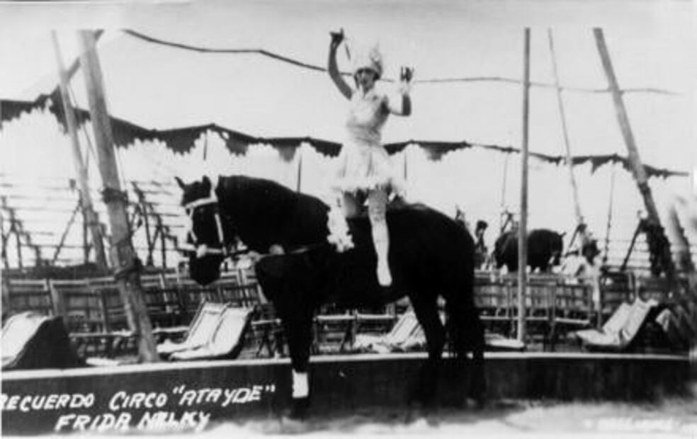 El niño que creció junto a los animales de un circo