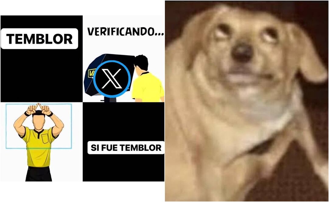 Las redes sociales han estallado con una avalancha de memes ingeniosos que reflejan la creatividad y el humor de los capitalinos. Foto: X