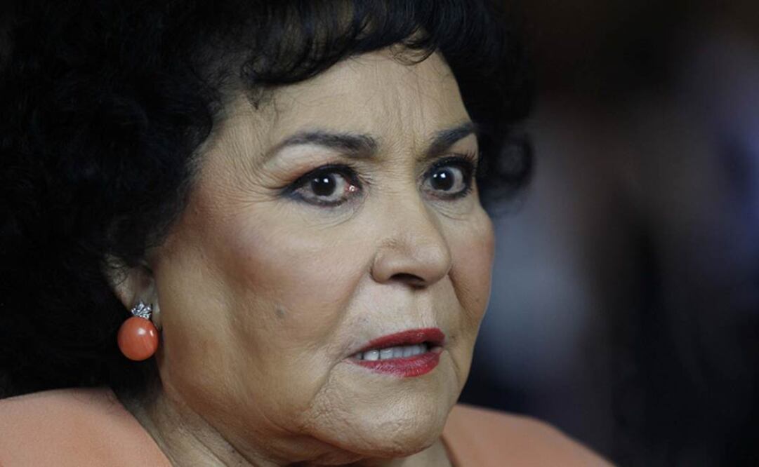 La diputada federal electa Carmen Salinas (PRI), expresó su preocupación por sus compañeros del medio artístico y dijo que en la 63 Legislatura, trabajará por este sector de la población.