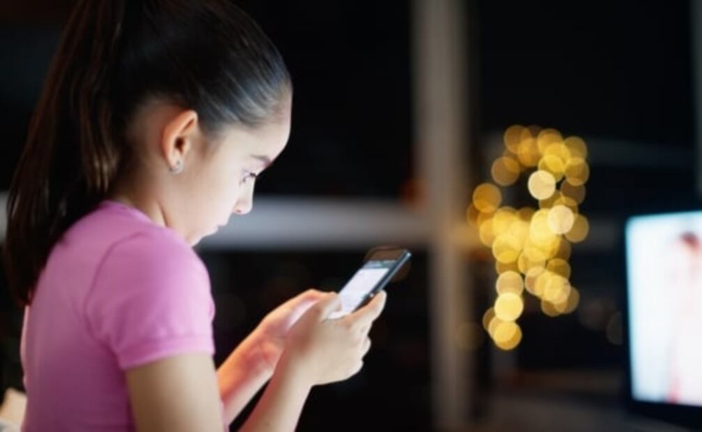 Como evitar que tus hijos naveguen por páginas porno