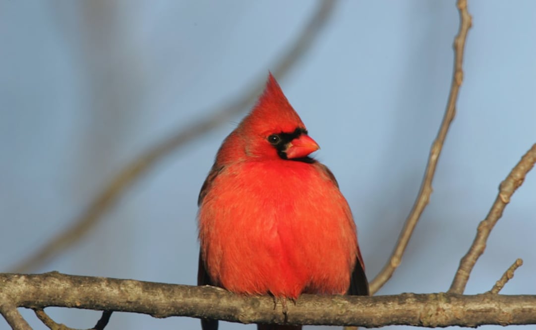 Imagen ilustrativa. Foto: Archivo
