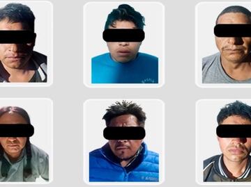 Desarticulan dos puntos de venta de droga y rescatan 20 animales de compañía en Atotonilco, Hidalgo; detienen a 6