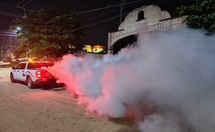 Guerrero se coloca en cuarto lugar nacional por casos de dengue; refuerza medidas de prevención