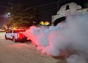 Guerrero se coloca en cuarto lugar nacional por casos de dengue; refuerza medidas de prevención