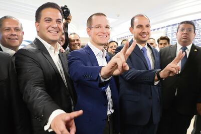 Panistas prevén renovación de su liderazgo en agosto