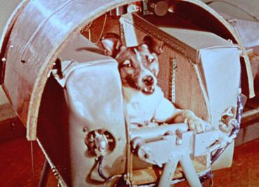 ¿Cuál fue el primer animal enviado al espacio?