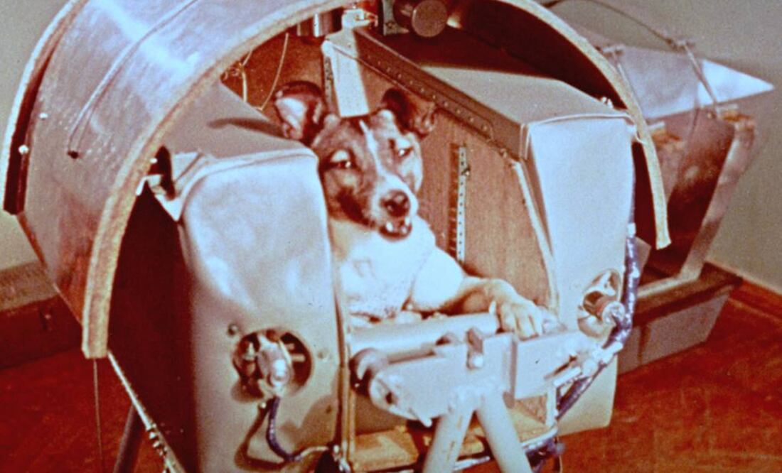 Laika partió escasamente un mes después de que el primer objeto artificial, el Sputnik 1, fue puesto en órbita. Foto: Archivo